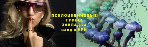 сатива Гусев