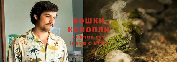 сатива Гусев