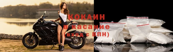 сатива Гусев