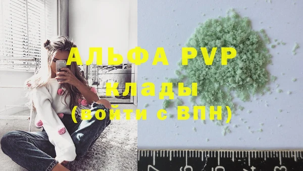сатива Гусев
