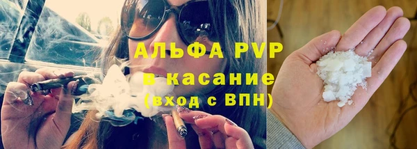 сатива Гусев