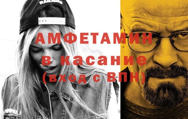 сатива Гусев